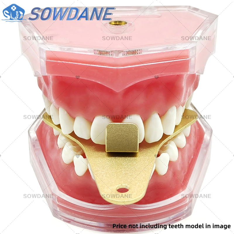 Diş Laboratuvarı Ölçü Tepsiler - Teeth Whitening Trays incelemesi ve fiyatı