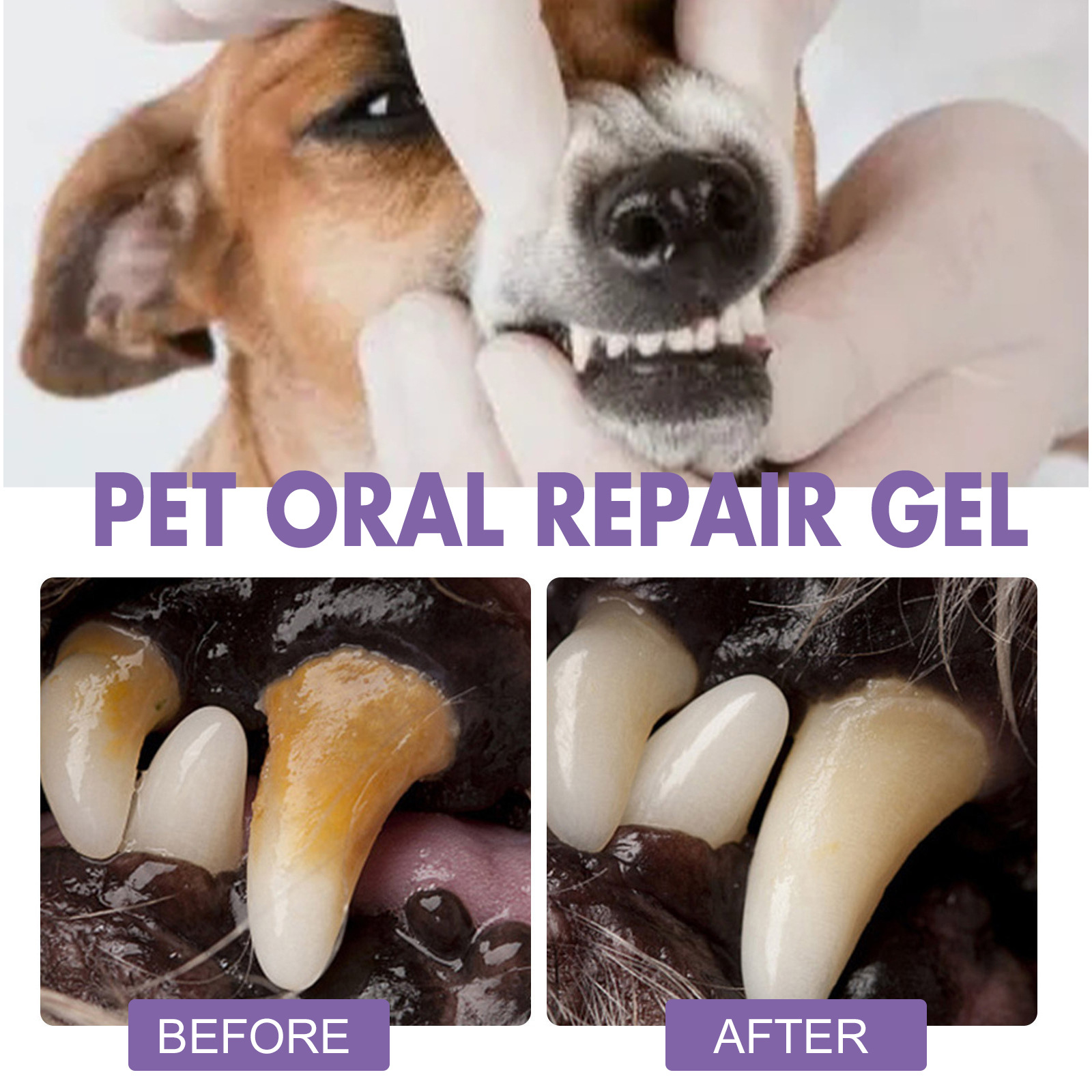 Pet Oral Onarım Jeli Yavru Tar - Teeth Whitening Gel Peroxide incelemesi ve fiyatı