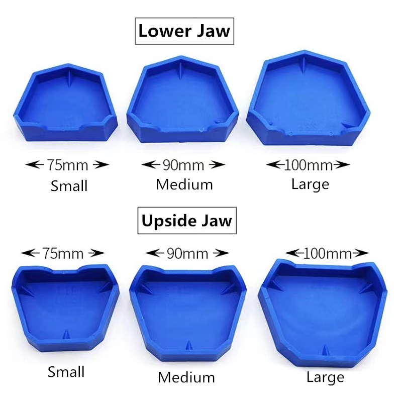 6 adet/takım Diş Modeli Tabanı - Teeth Whitening Trays incelemesi ve fiyatı
